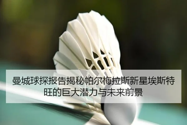 曼城球探报告揭秘帕尔梅拉斯新星埃斯特旺的巨大潜力与未来前景